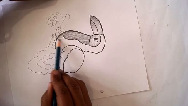 How To Draw A Bird With Pencil | Drawing | Shading смотреть онлайн