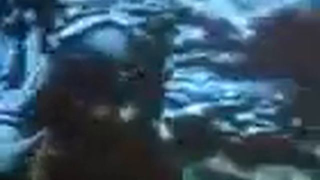 Тікаєм бігом #2 смотреть онлайн