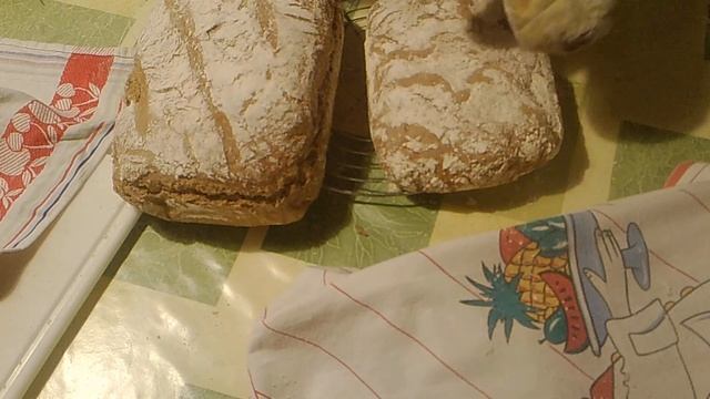 #8* 8 Bröte Маria`sArt backen - Teil 4 von 4 - FERTIG! - TOLL! GUTEN APPETIT ! смотреть онлайн