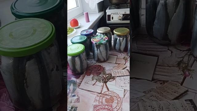 Домашние шпроты. смотреть онлайн