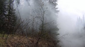 22 Там где живет медведь девственная тайга  рыбалка охота тайга лес природа в поход поход выживание