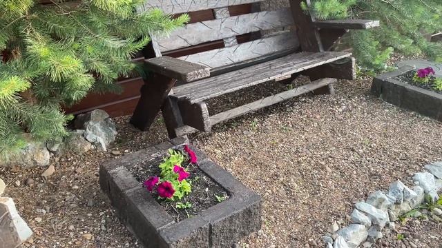 ПЕТУНИЯ вырастет ОГРОМНАЯ, если в грунт добавить это... А так же о подкормке! смотреть онлайн