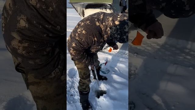 Вот это щука смотреть онлайн