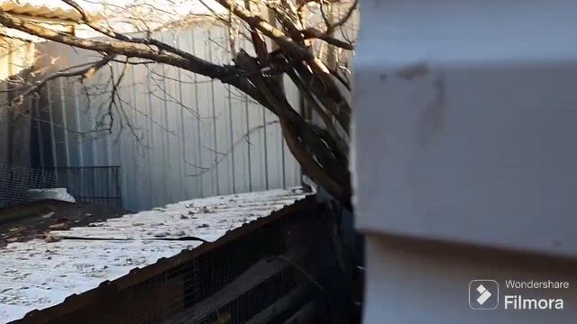 189. Дачный банный водяной сезон закрыт. Открыт снеговой банный сезон . смотреть онлайн