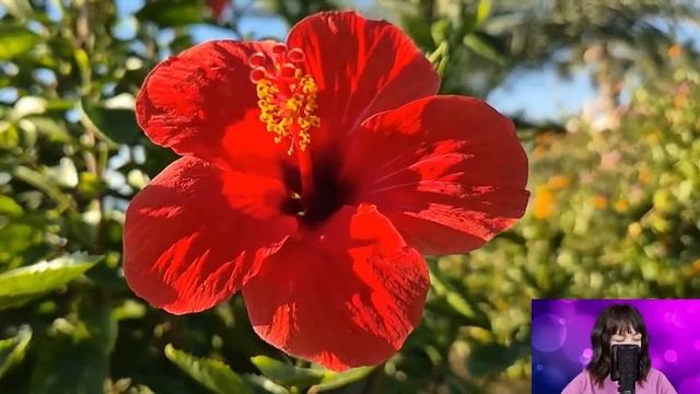 Узнав о наследстве невестки, свекровь позвонила сыну, чтобы он пока не подавал на развод... смотреть онлайн