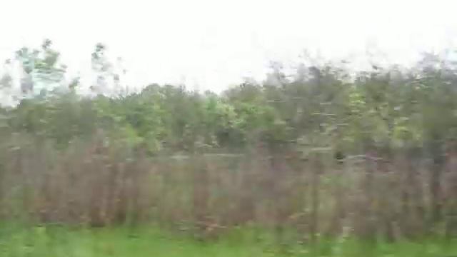 армянская община.Пикник смотреть онлайн