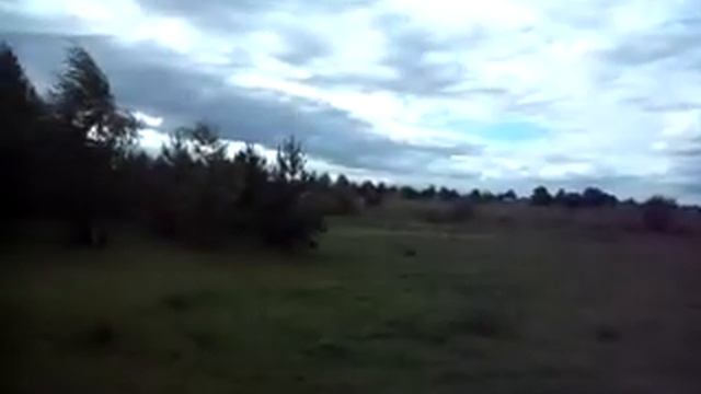 Милка обживается на новом месте. смотреть онлайн