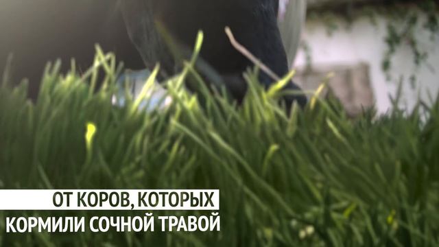 «Домик в деревне» Делаем, как бабушки – Трава смотреть онлайн