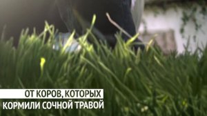 «Домик в деревне» Делаем, как бабушки – Трава