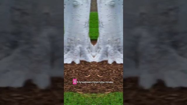 Что дает зимнее мульчирование? #мульчирование #садоводство смотреть онлайн