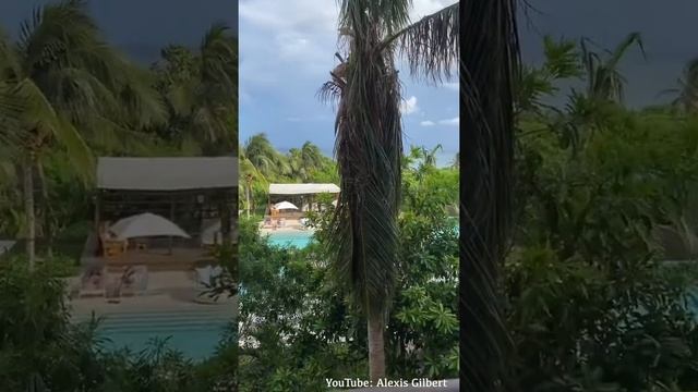 you won’t believe this view 😳😍 our honeymoon resort in Cancun! #shorts #honeymoon #travel #cancun смотреть онлайн