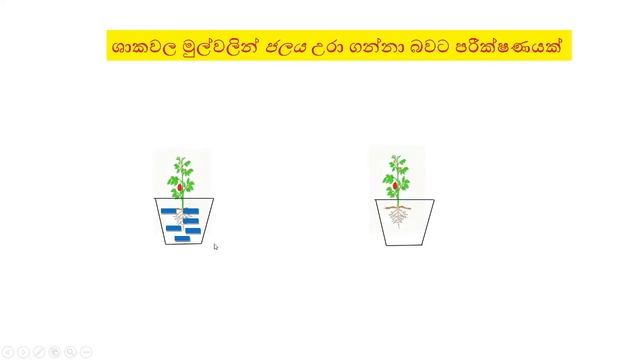 palati ha gas wal grade 4 parisaraya смотреть онлайн