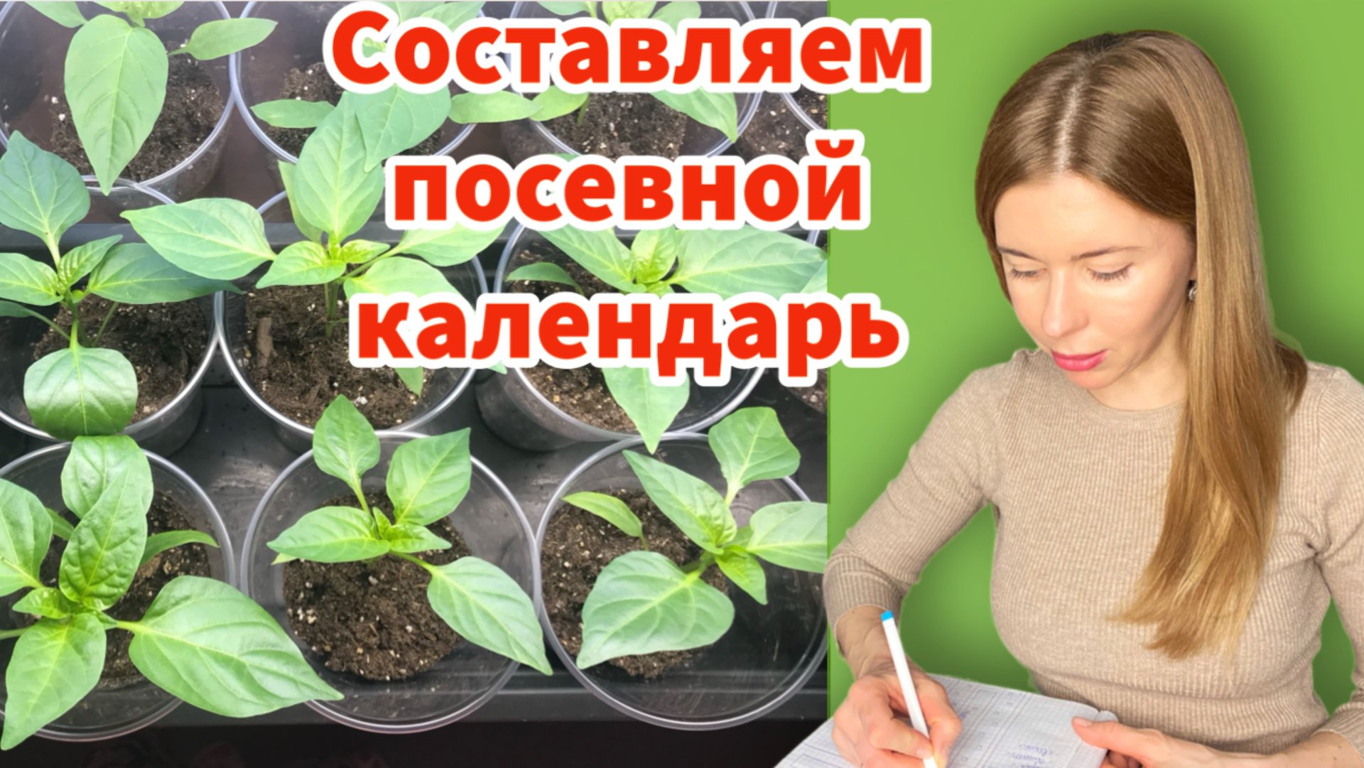 Теперь вы не ошибетесь со сроками посева томатов, перцев и баклажанов. Составляем свой календарь смотреть онлайн