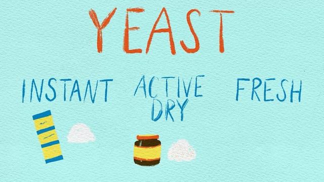 What's The Difference Between Yeast and Sourdough Starter? смотреть онлайн