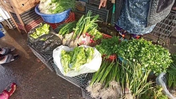 ОПТОМ БОЗОР БУХОРО // OPTOM BOZOR NARXLARI BUXORO 2021