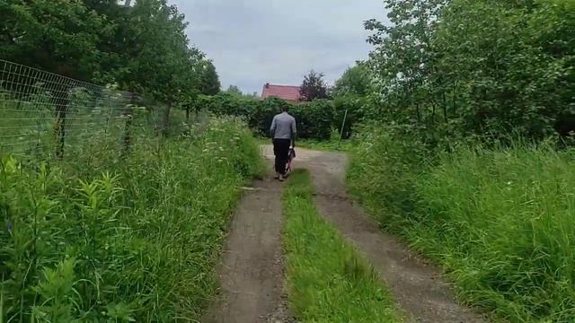 Строим бассейн.Часть 3 смотреть онлайн