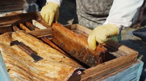 ЗАИМКА НА УРАЛЕ | СОСЕД ЦЕЛЫЙ ГОД НЕ ВЫХОДИЛ НА УЛИЦУ! ПРИВОДИМ ЕГО В ПОРЯДОК