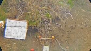 ЛЕШИЙ 2 6.35 , стрельба на разные дистанции!) ГОТОВО ДЛЯ КЛИЕНТА