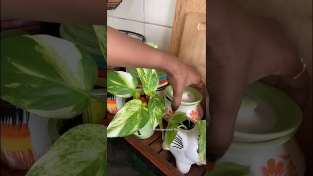 Mini Vlog || Weekend Lunch Routine 🤩#shorts #shortsfeed #youtubeshorts #minivlog смотреть онлайн