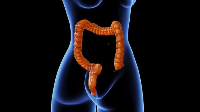 5 Belirti Kolon Kannseri Olduğunuzun İşaretidir. 2 BESİNİ MUTLAKA TÜKETİN смотреть онлайн