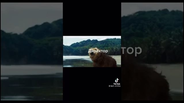 Когда открыл пачку чипсов в классе смотреть онлайн