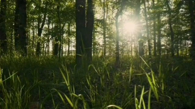 ЗАВИДУЕМ НЕМЫТОЙ НИНКЕ И ЕЕ АЛЬФОНСУ! ПИРАТСКАЯ ЖИЗНЬ. смотреть онлайн