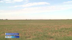 Вести Калмыкия. Дневной выпуск от 24.06.2022
