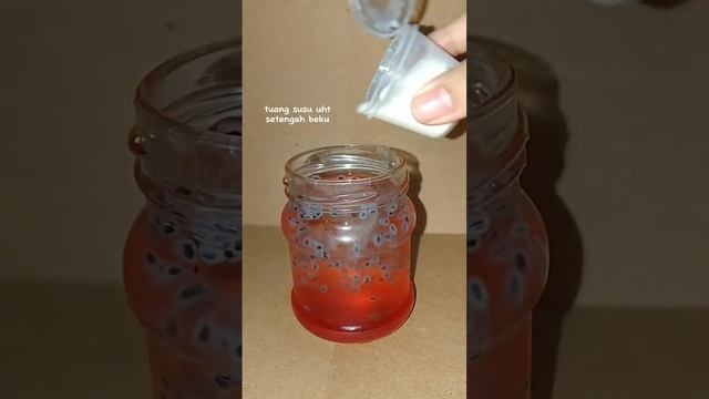 syrup ice cocopandan&susu yang menyegarkan#shorts #youtubeshorts#drink #minuman#story#beranda #asmr смотреть онлайн
