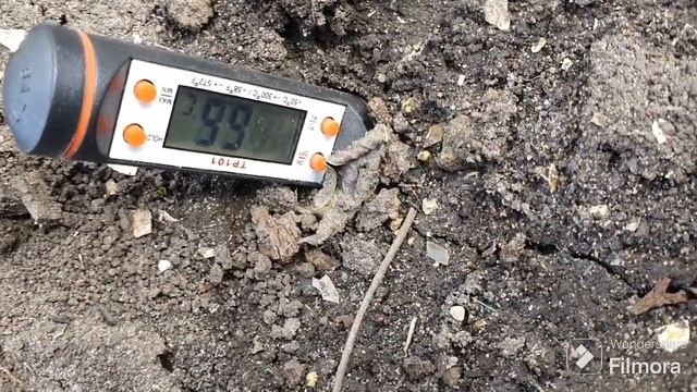 215. Теплицы затенил. Виноград открывать или нет. смотреть онлайн