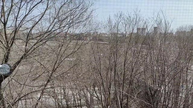 ЕДА Я ЛЮБЛЮ ТЕБЯ! ВЕЛИКИЙ ПОСТ! МОЯ ПОСТНАЯ ЕДА! ХОРОШО ПОГУЛЯЛИ! смотреть онлайн