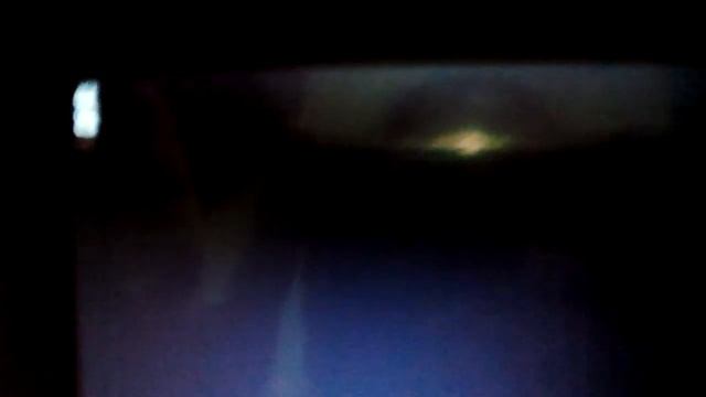 Скоро неон пет будет смотреть онлайн