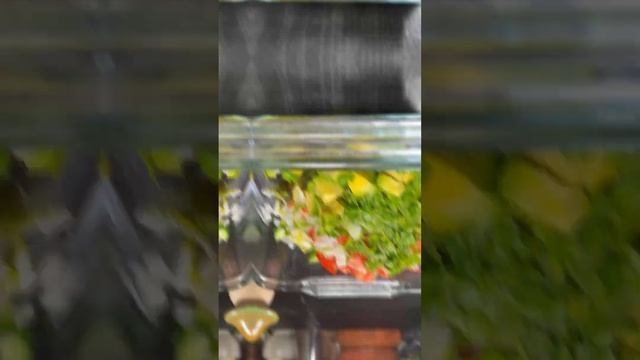 Easy avacado cucumber yogurt salad Recipe смотреть онлайн