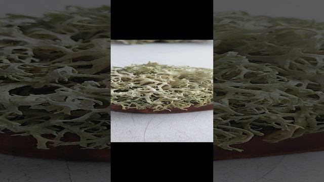 Посмотрите, как оживает эверия.