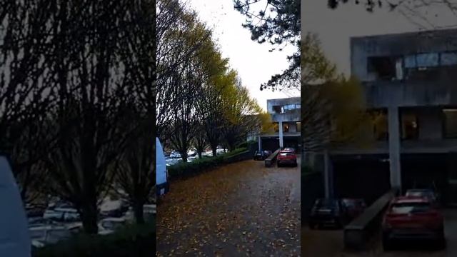 1) ОПЕКА РОДИТЕЛЯ В БРИТАНИИ 2) CAША Л ИНДИАНА - ВИСКОНСИН, США. КАК СОХРАНИТЬ 2й БРАК. ЧАСТЬ 2 смотреть онлайн