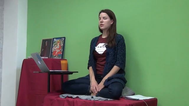 Mастер Камалашила Часть 2 Занятие 5 (2018-02-10) Арина Финельд смотреть онлайн