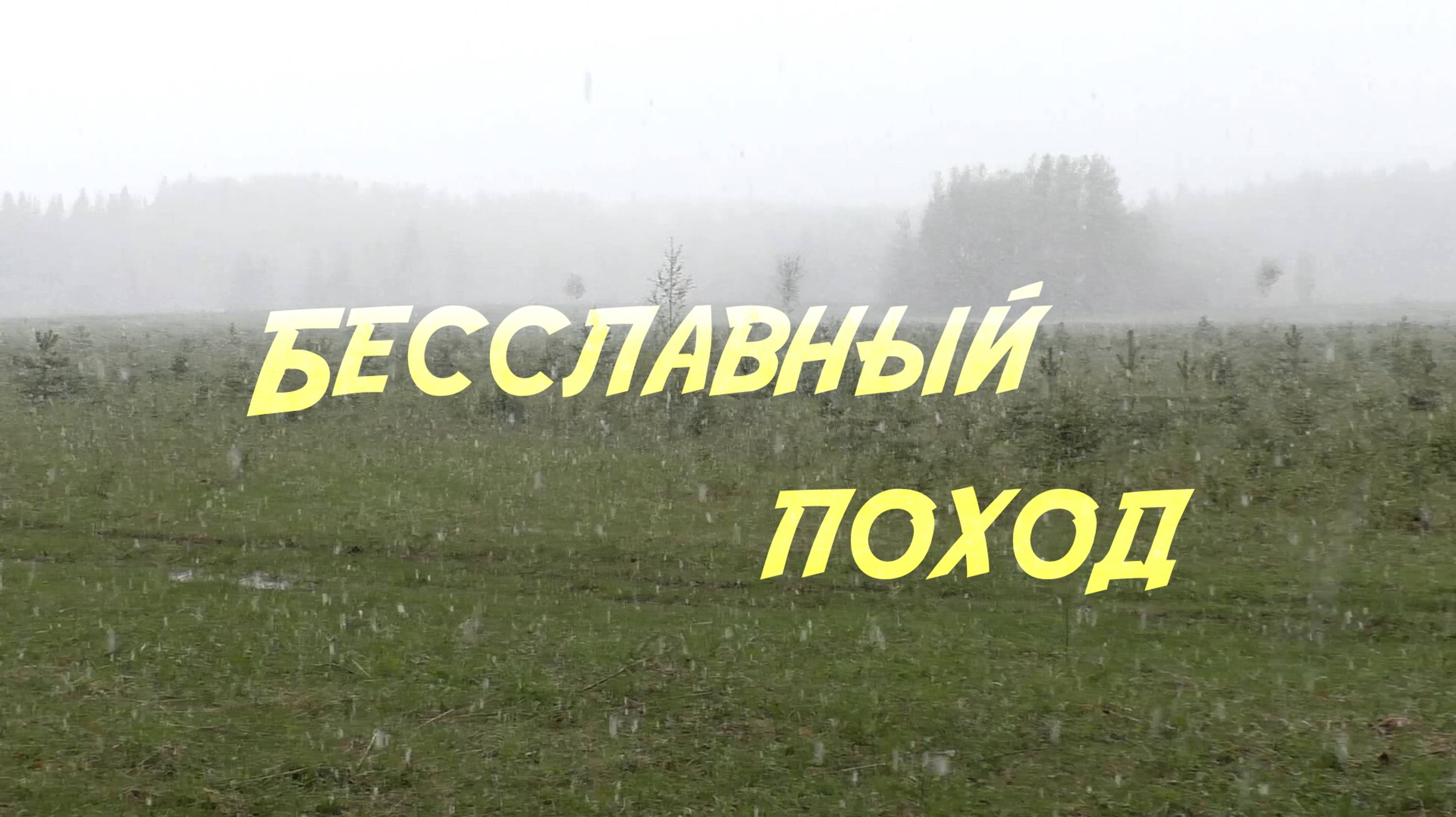 Бесславный поход