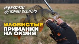 Уловистые Приманки Микроджиг на Окуня Поздней Осенью TOP 100500