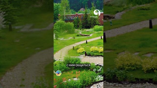 Как выбрать ландшафтного дизайнера? смотреть онлайн