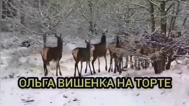 ОПЯТЬ ПОЛУЧИЛА ПО ПОЛНОЙ. ОЛЬГА УРАЛОЧКА LIVE. ОБЗОР. смотреть онлайн