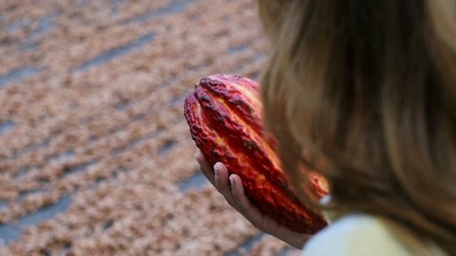 Discover The Origin New York смотреть онлайн