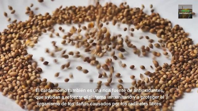 Unbelievable Benefits of Of Queen Of Spices, “Cardamon” | Your Health Will *Never* Be the Same смотреть онлайн