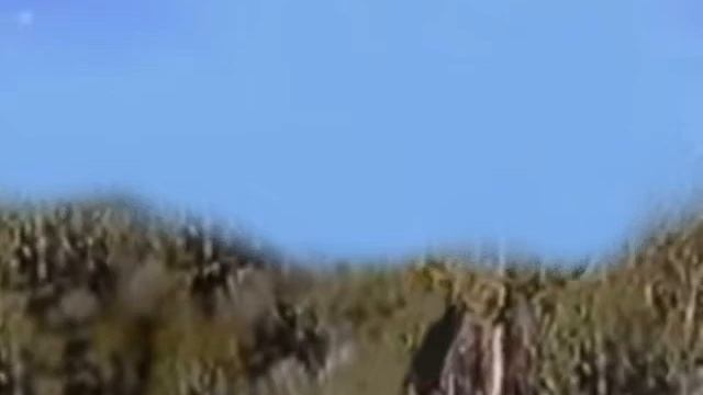 Serbia Strong Instrumental