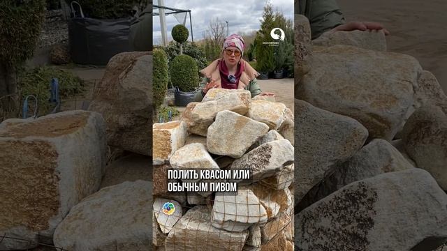 Сад с историей: быстро и бюджетно! смотреть онлайн