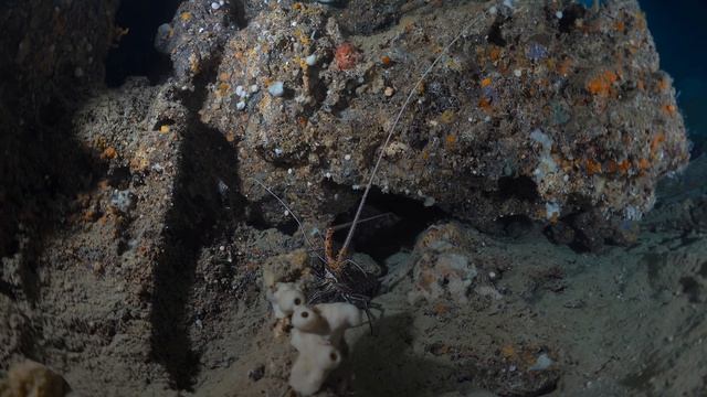 Goa Loba-Loba. Sulawesi. Muna 2024