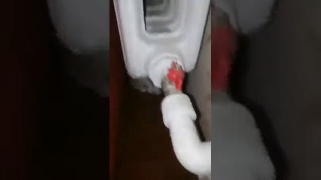Знакомство Кота С Котенком смотреть онлайн