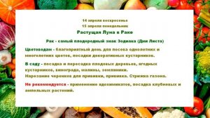 Лунный посевной календарь на апрель 2024 года для садоводов и огородников