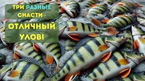 Балда, блесна или безмотылка? 3 способа зимней рыбалки на окуня!