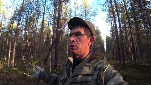 Заночевал в избушке. Ходовая охота продолжается. 4 серия смотреть онлайн