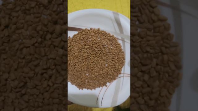 Fenugreek Seeds| Methidana | Methry #ytshorts #youtubeshort #beauty #fenugreek #fenugreekseeds смотреть онлайн