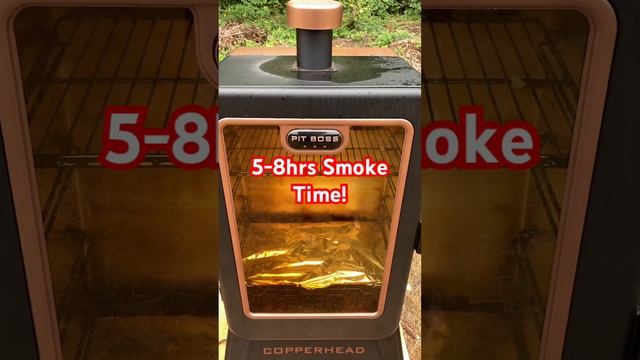 This is my Smoke Salmon Recipe. #shorts #fyp #fypシ #fishing #salmon смотреть онлайн